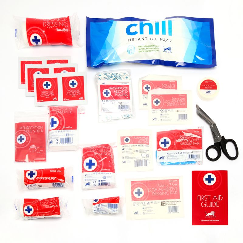 Vehicle First Aid Kit in Bag