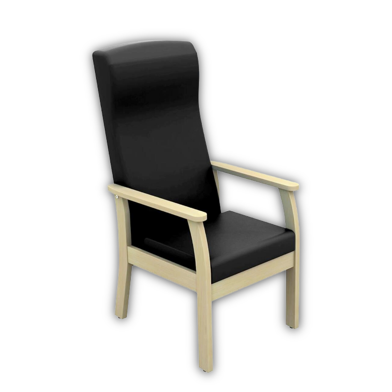 Sunflower Atlas Patient High-Back Arm Chair Black