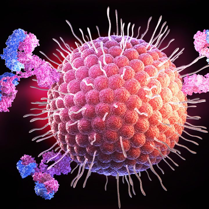 Protect Yourself From Norovirus | Kays Medical